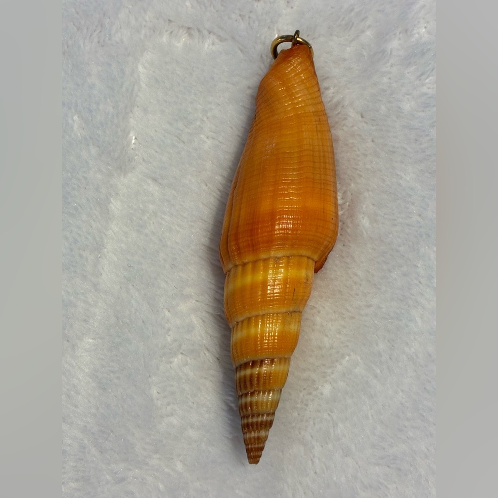 Golden Orange Turritella-style Sea Shell Pendant
